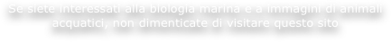 Se siete interessati alla biologia marina e a immagini di animali acquatici, non dimenticate di visitare questo sito